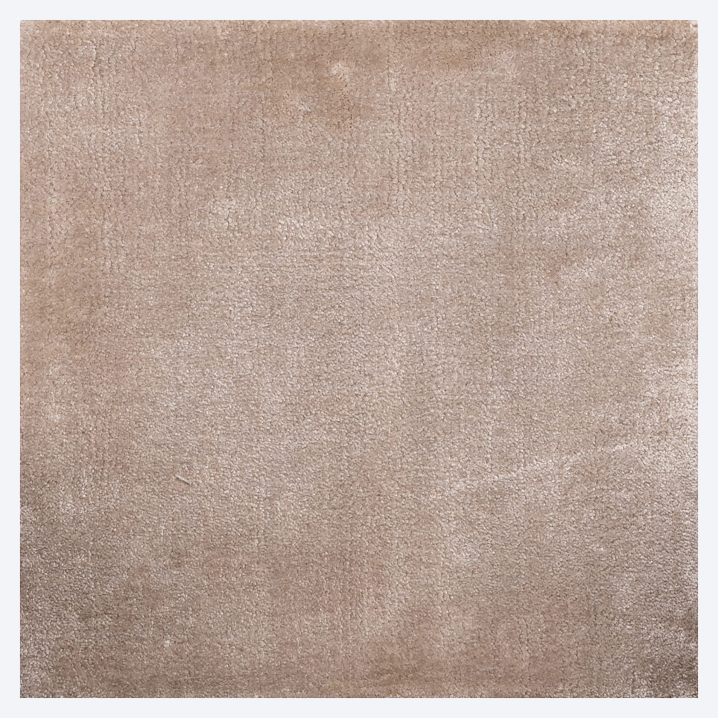 Carpet Millav beige 220x320
