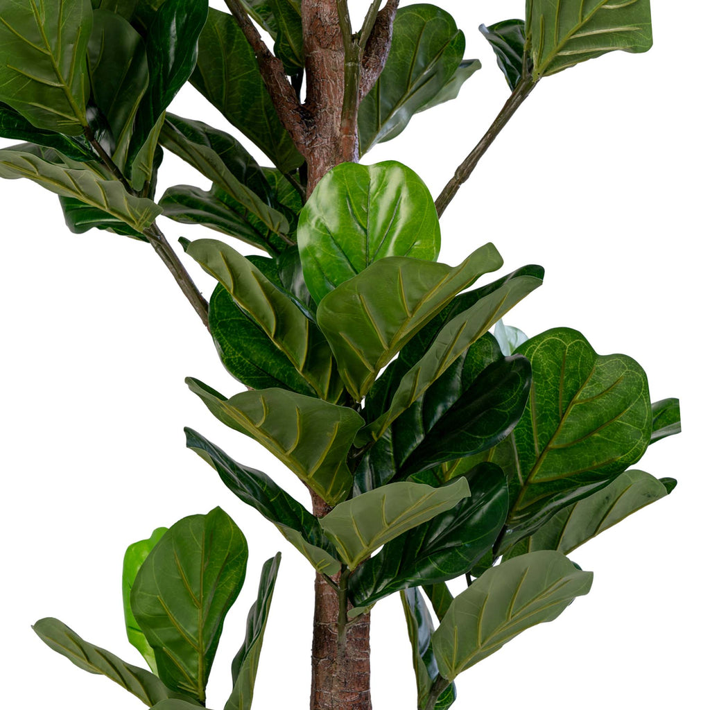 Geigenfeige - künstliche Pflanze, grün, H:190 cm