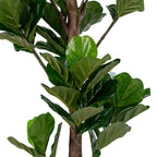 Geigenfeige - künstliche Pflanze, grün, H:190 cm
