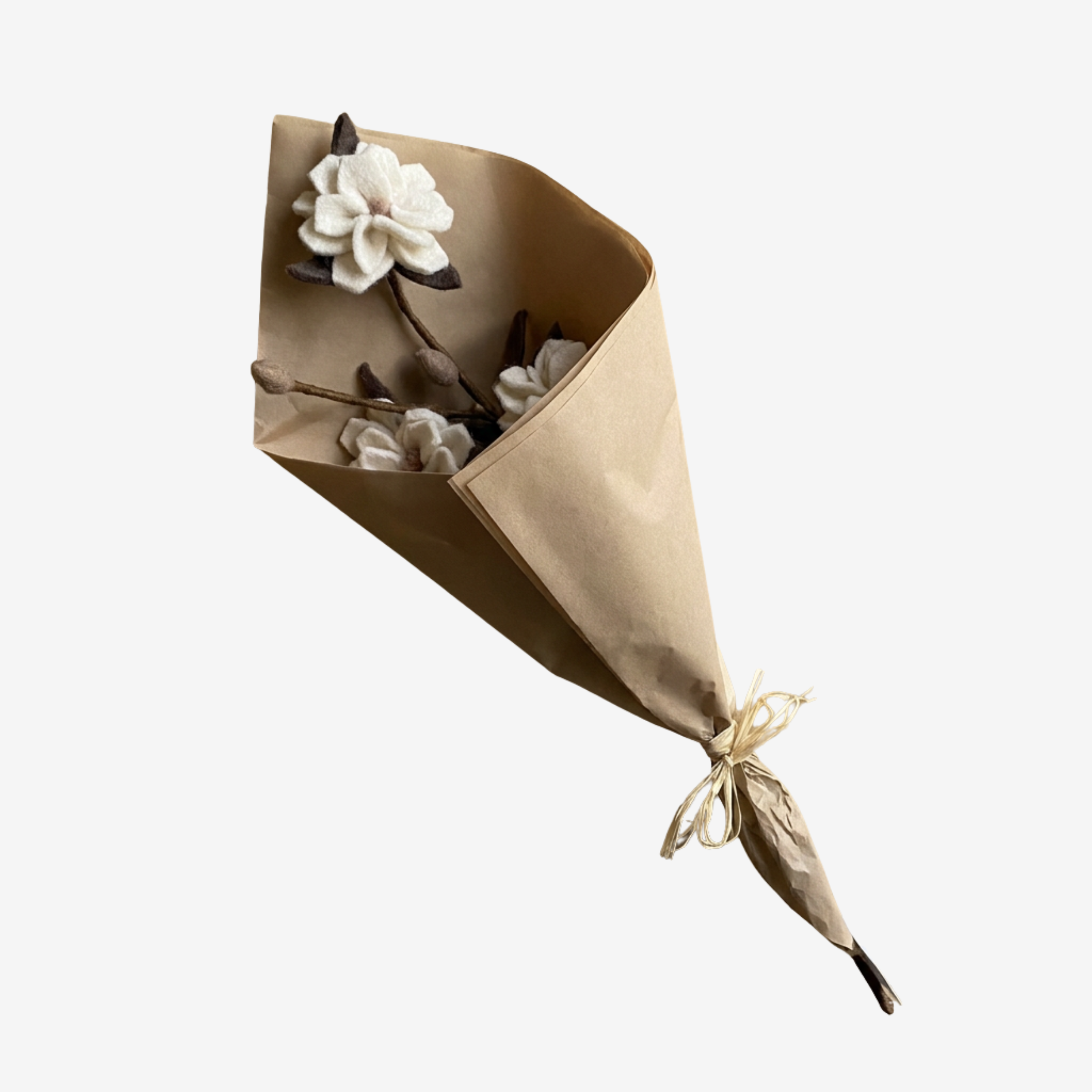 Magnolien-Zweig mit weissen Blüten