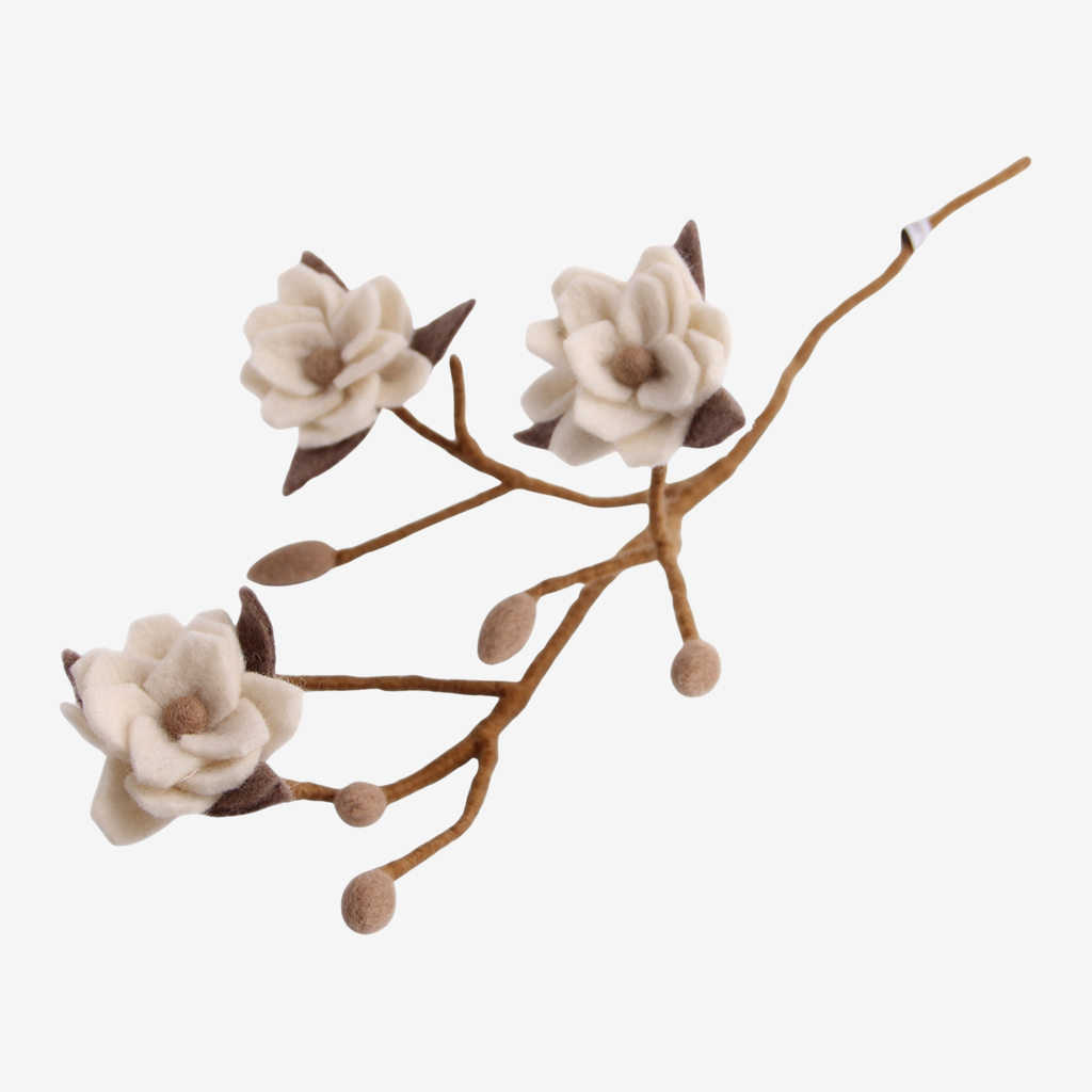 Magnolien-Zweig mit weissen Blüten